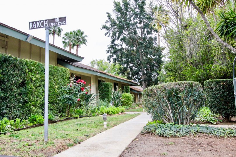 A sidewalk in the Racho Linda community with bushes and other plants on either side.