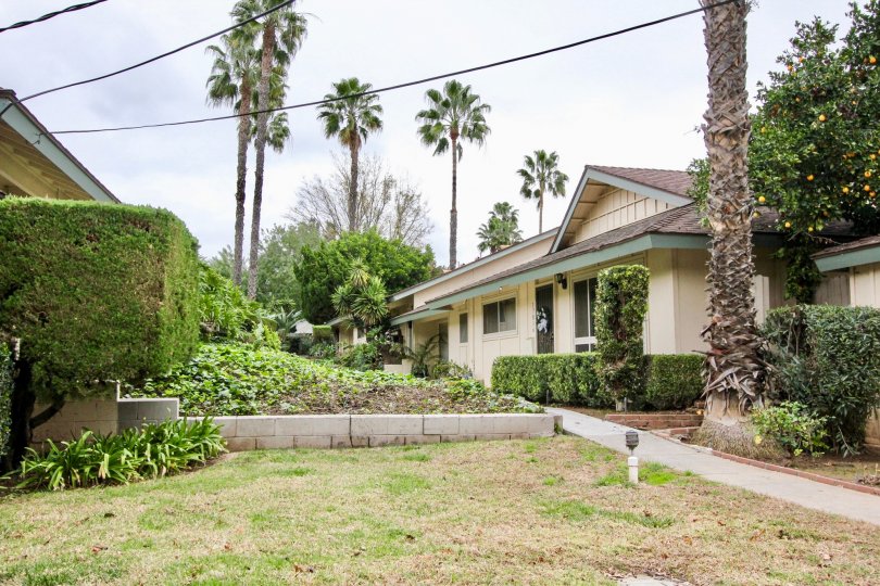 yellow homes with plants and trees around the homes in rancho linda community in yorba linda, california.