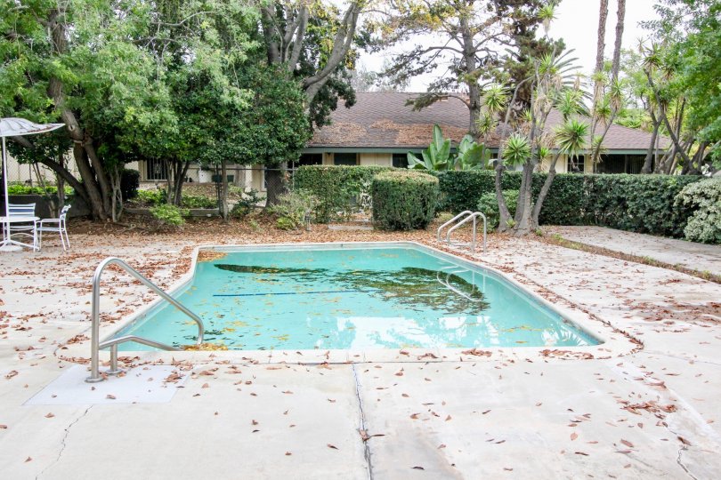 Rancho Linda pool with leaves and deck chairs on a cloudy day.