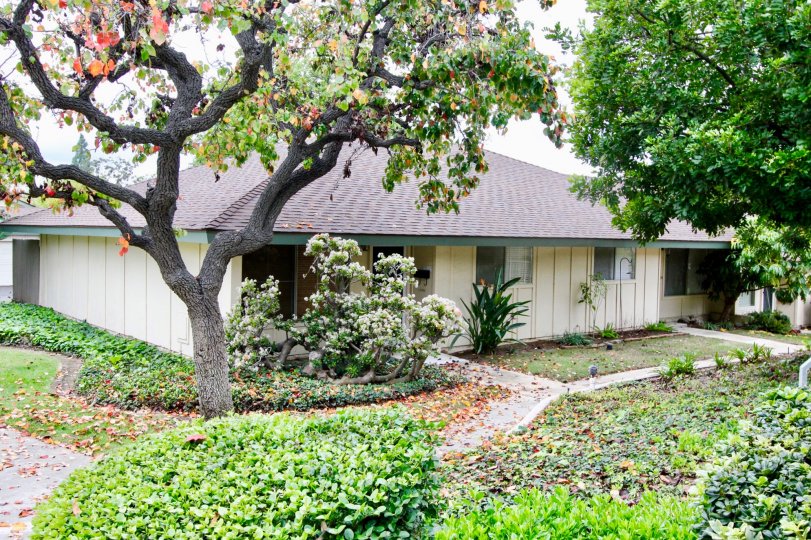 Rancho Linda Yorba California short walls of building ending with sharp edge at top roof side