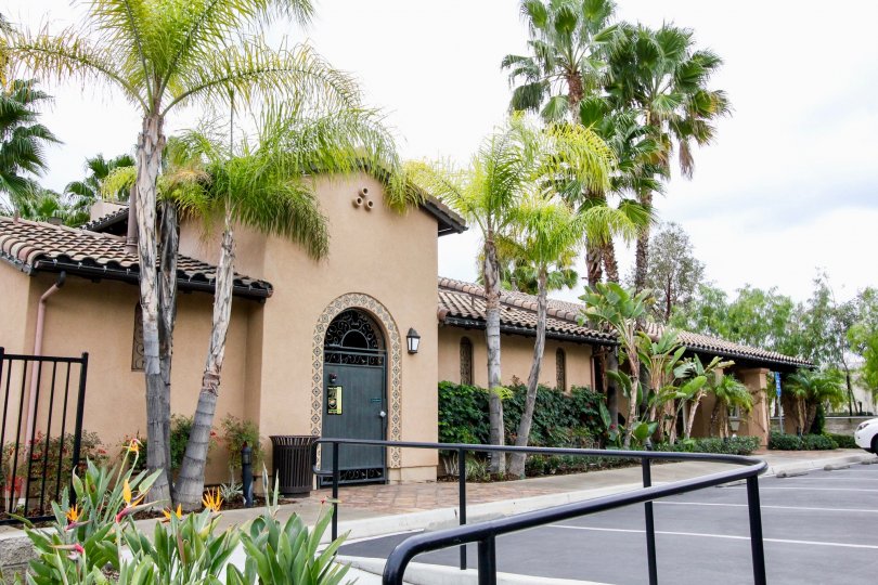 A parking lot in the San Lorenzo community with palm trees and railings.