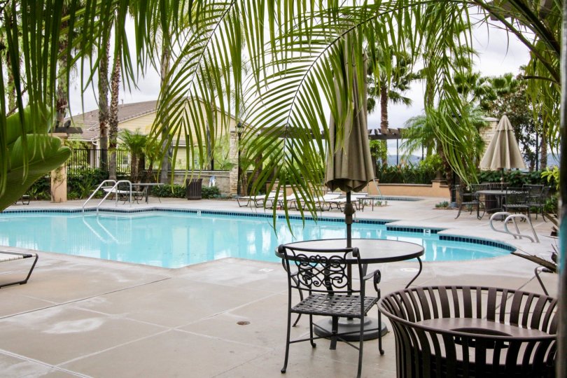 Large clear blue pool with an elegant shape at San Lorenzo in Yorba Linda CA