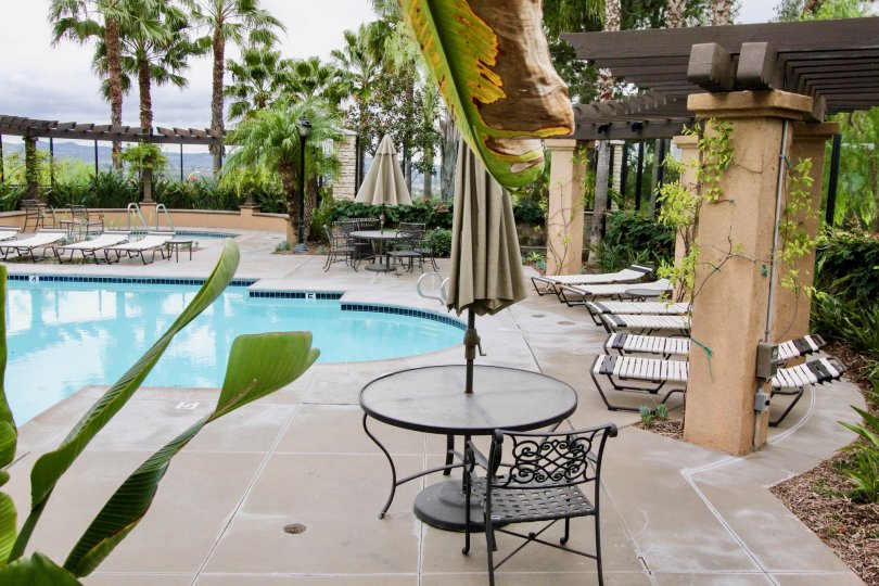San Lorenzo Yorba Linda California with nice coconut trees and climbers near pool area with chair, tables