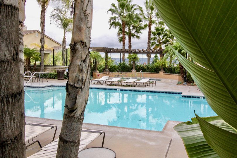 Poolside with lounge at San Lorenzo Community in Yorba Linda, California
