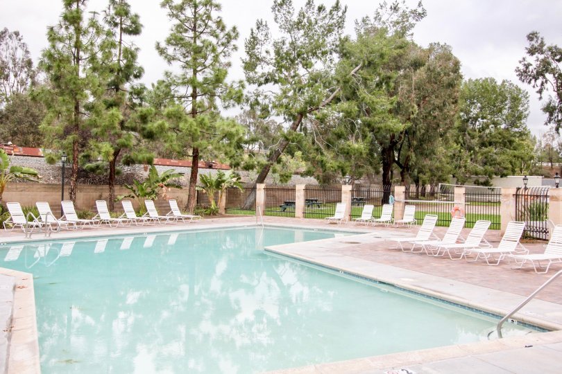 A big swimming pool alone at the sunshine time and more trees are available at the front of the pool