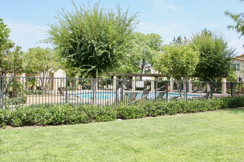 Beauty serene environment manicured garden and pool area