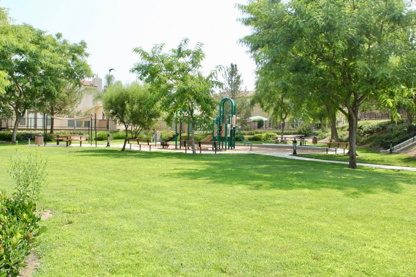 A sunny day in the Alta Murrieta park with children's playground and picnic tables