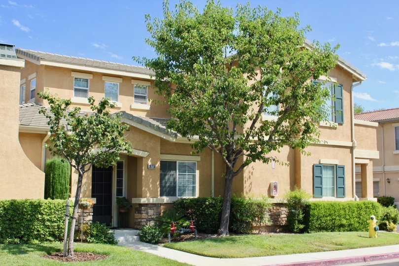 Tan houses in a tree lined street surround the Villas at Old School House