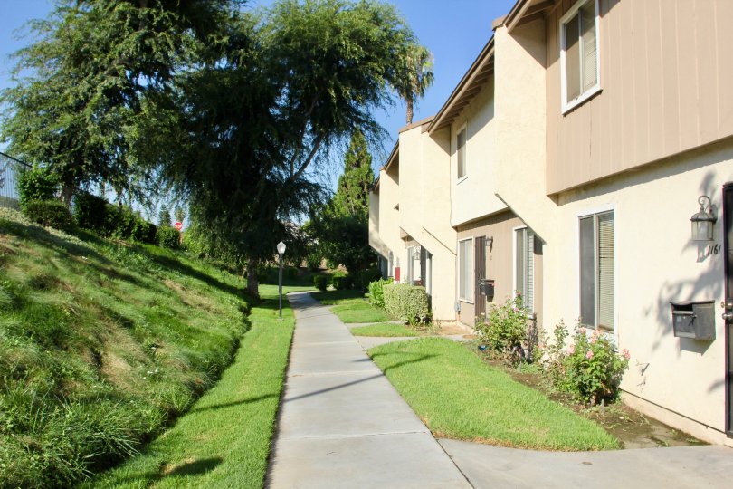 beautiful sunny day with really green grass at the community of springbrook park