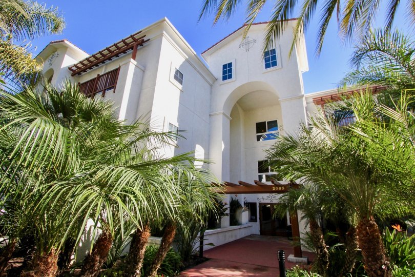 THE 2003 APARTMENT IN THE BALBOA BUILDING WITH THE TREES, PLANTS, BALCONI