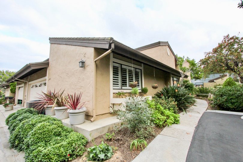 THE ESTATE IN THE CARLSBAD PALISADES WITH THE FLOWER POT, PLANTS, TREES, ROAD