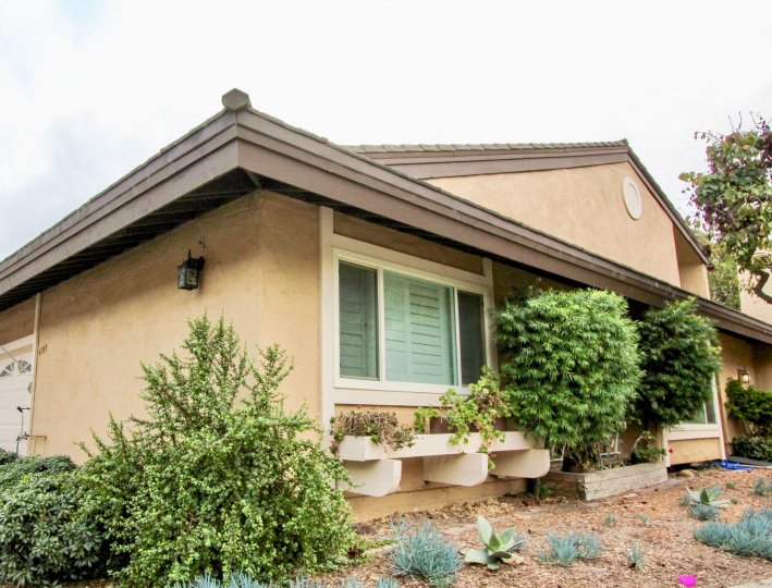 THE APARTMENT IN THE CARLSBAD PALISDES WITH THE PLANTS, TREES