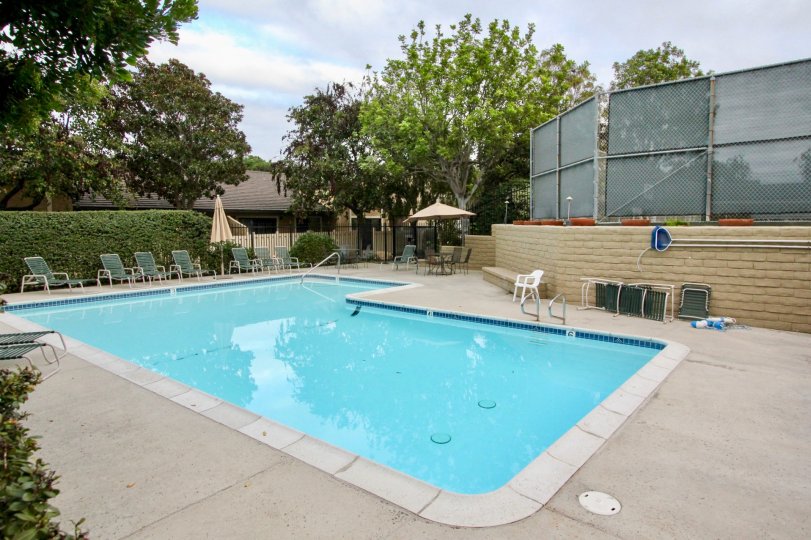 THE BUILDING IN THE CARLSBAD PALISADES WITH THE SWIMMING POOL, CHAIRS, PLANTS, TREES