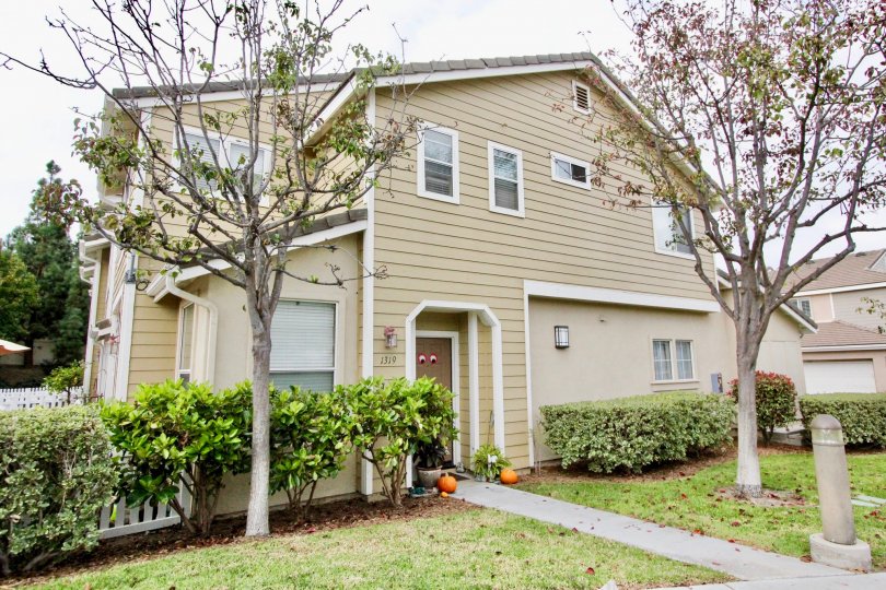 Front walkway to home with trees in Cherry Tree Walk community, Carlsbad, CA