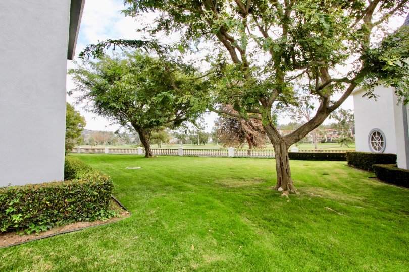 THE PICNIC PLACE IN THE JOCKEY CLUB WITH THE GRASSLAND, TREES, HOUSE, PLANTS
