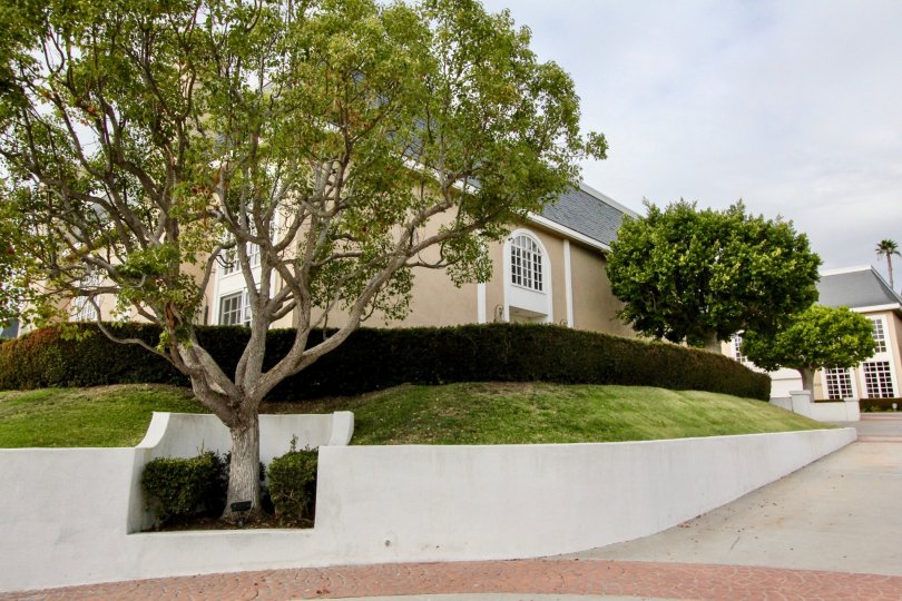 THE BUILDING IN THE JOCKEY CLUB WITH THE GRASS LAND, TREES, BUSHES, PATHWAY
