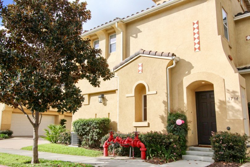 Building with ample of sunshine and trees in Mystic Point of Carlsbad