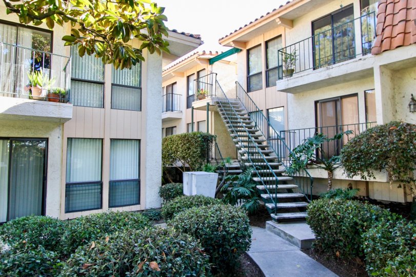 Lovely Navarra Gardens in Carlsbad California Country