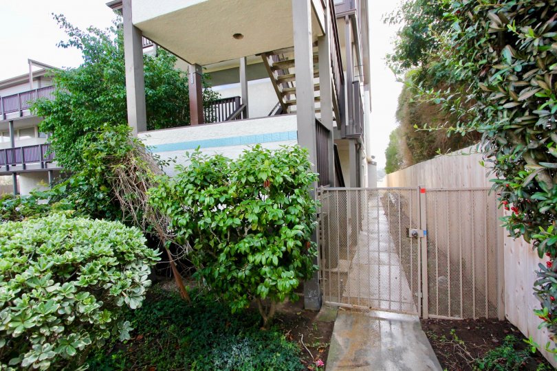Sideview with side path in Olive Point community, Carlsbad, Ca
