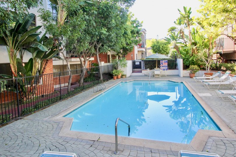 a sunny day in the orleans east with a swiming pool that has clear blue water and a dinning table