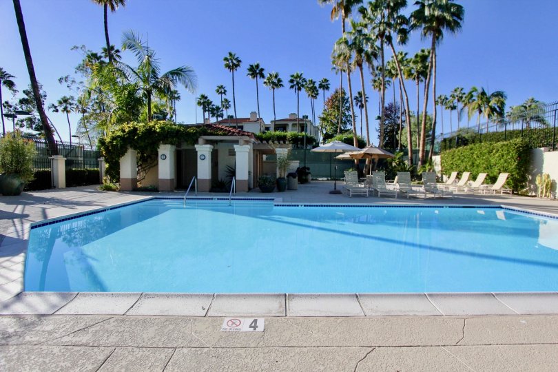 amazing at Sea Point Tennis Club in Carlsbad, California