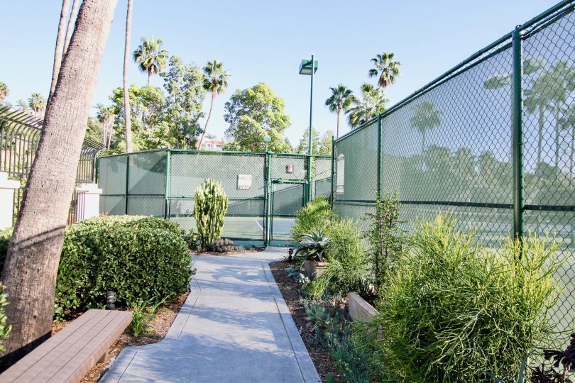 A beautiful day in the Sea Point Tennis Club with a tennis court and gate.