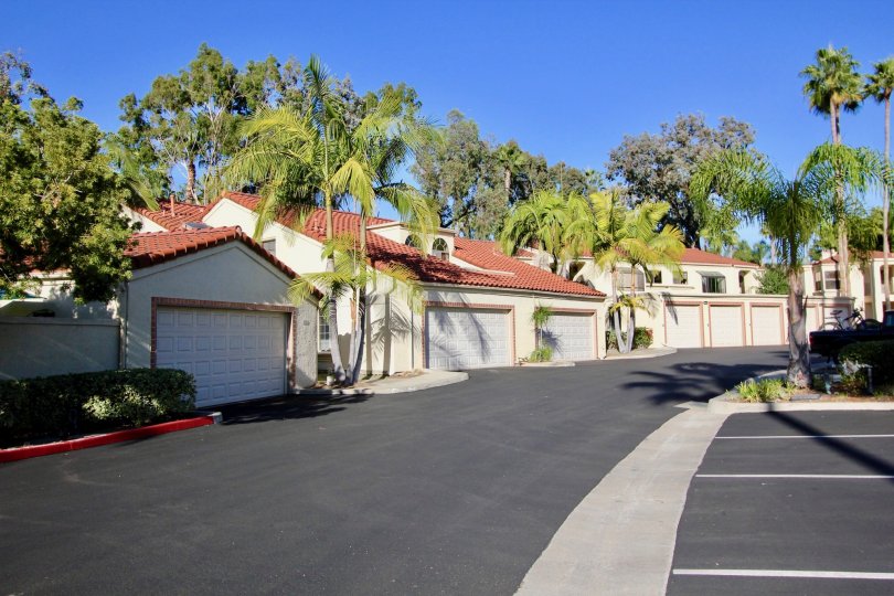 amazing at Sea Point Tennis Club located at Carlsbad, California