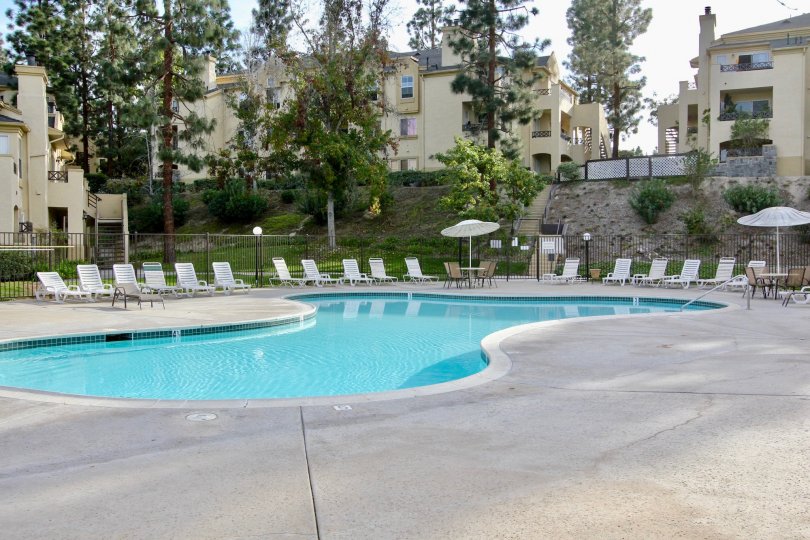 Private swimming pool with sizeable deck and ample seating in a secluded setting at Camelot