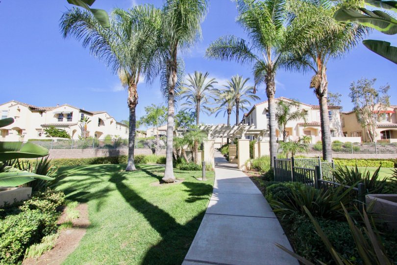 A white paved sidewalk that leads to Gold Rush in Chula vista ca