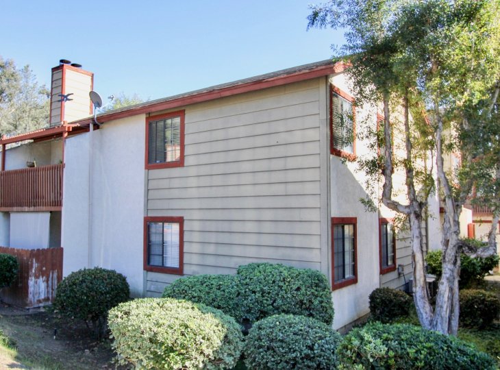 Attached Hilltop Village apartments with a dingy exterior and mature tree