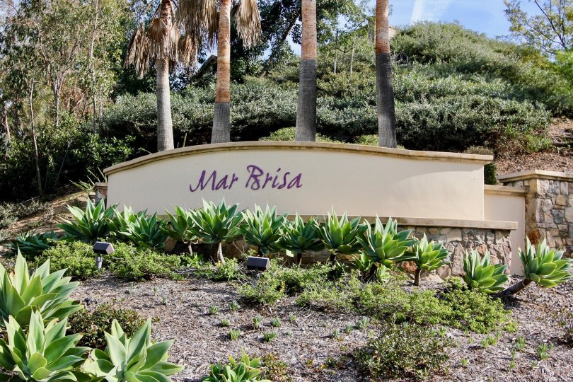 Some of the landscaping at the grand entrance of the Mar Brisa Community in Chula Vista, CA