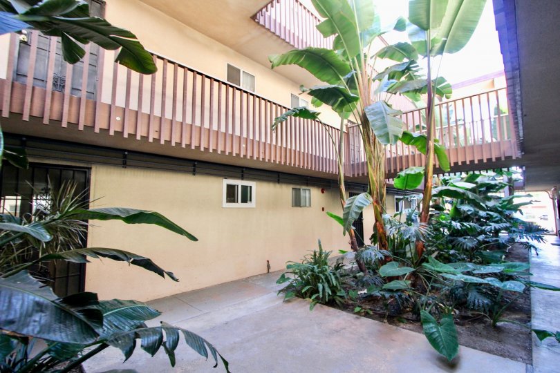 WITH IN THE BUILDING A COURTYARD WITH NATURE BEAUTY