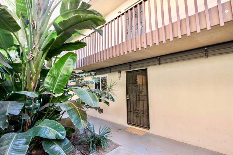 THE HOUSE IN THE ROBINHOOD WITH THE BALCONI, STEEL GATE, BANANA TREE