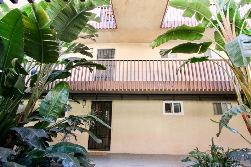 THE APARTMENT IN THE ROBINHOOD WITH THE BANANA TREES, BALCONI, PLANTS, WINDOW