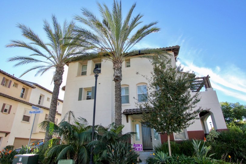 A sunny day in the area of Saguaro, outside, palm trees, door, street sign