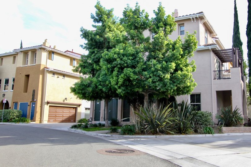 visit and choose your best at Sedona at Chula Vista, California