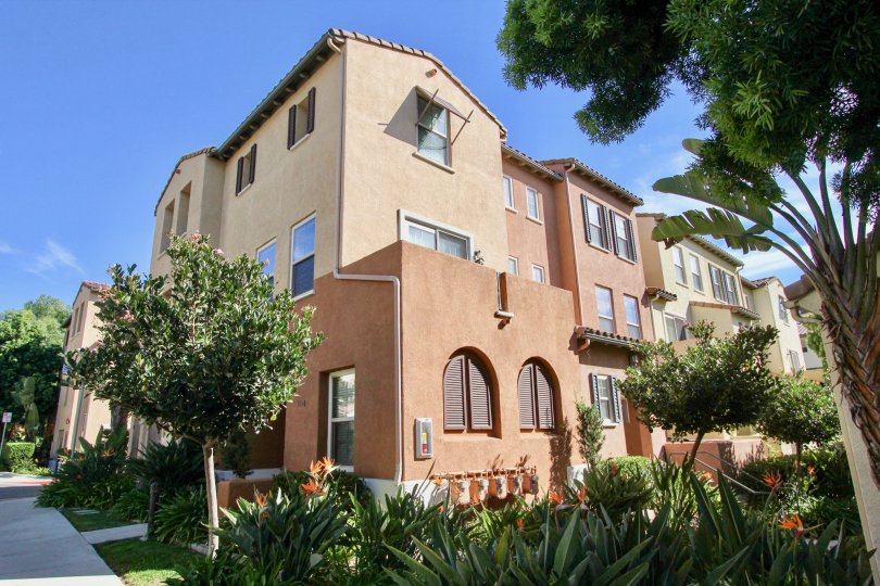 THE APARTMENT IN THE SILVER SAGE WITH THE GRASS, BANANA TREE, PLANTS