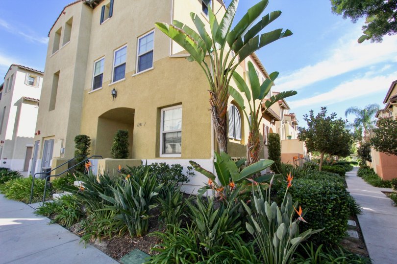 Sunny day side view with entry door and walkway, Stetson Community, Chula Vista, CA