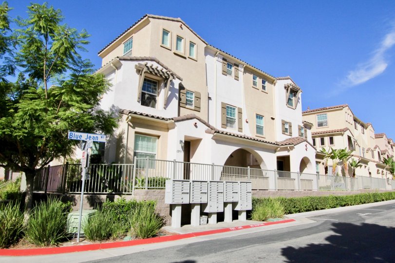 Compound view of the building with trees plants and compound wall in Stetson