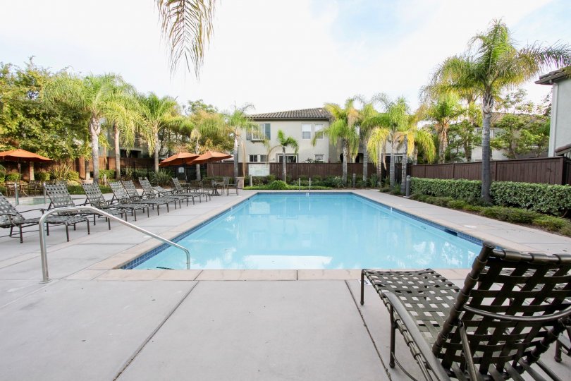 Sunny day in front of pool with chairs, Trees & Fences, Chula Vista, CA