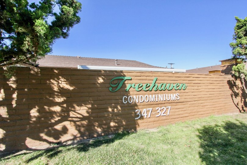 NAME ON THE WALL OF TREEHAVEN COMMUNITY. IT'S LOOKING GOOD