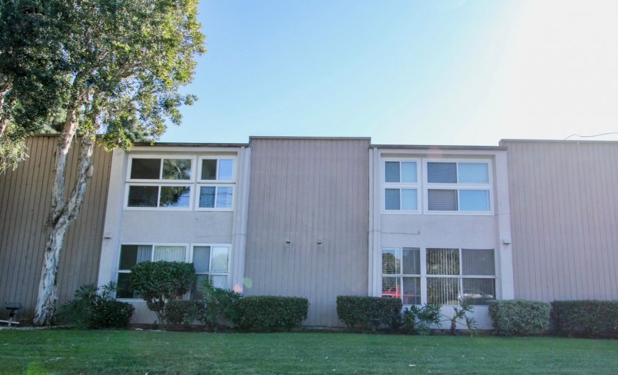 A sunny day in the area of Villa Campestre, outside, tree, windows, condos, bushes, grass