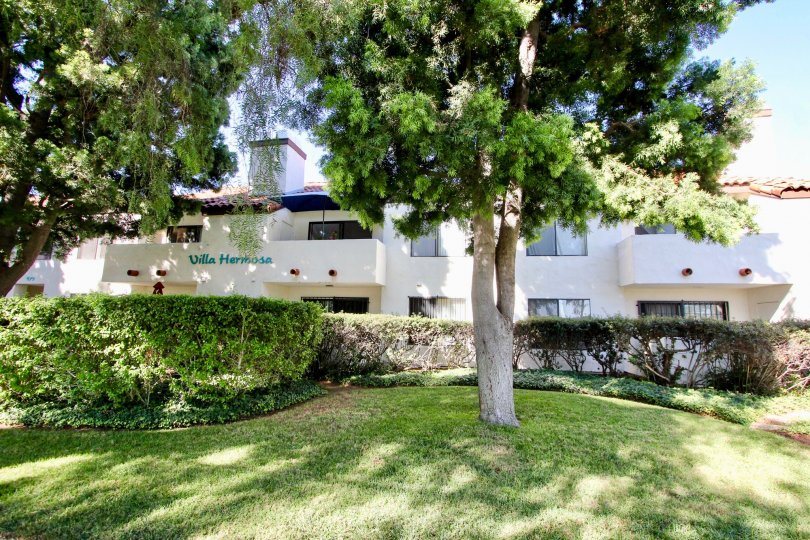 Beautiful lush green lawn with shady trees and neaatly trimmed hedges in front of Villa Hermosa in Chula Vista, California
