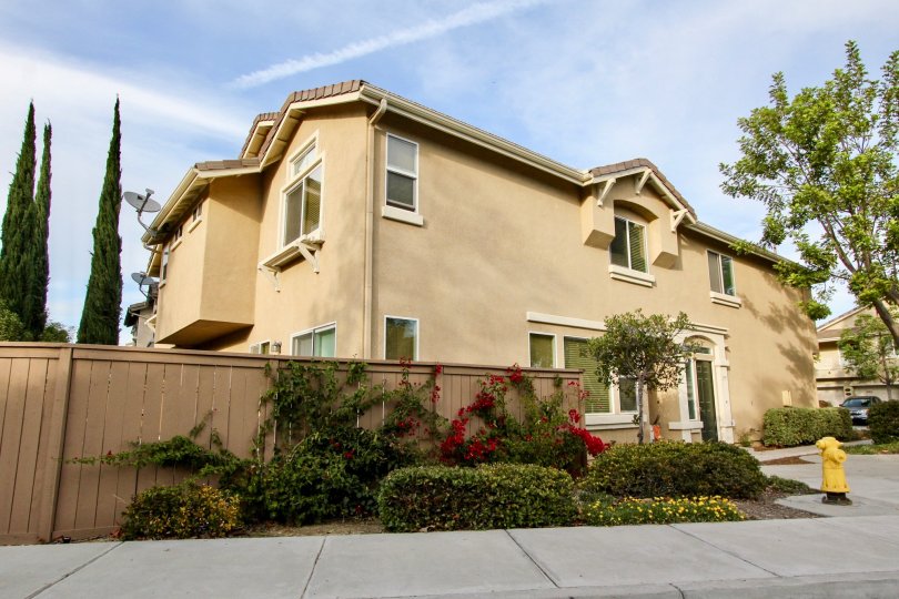 THE APARTMENT IN THE WILLOW BEND WITH THE FLOWER PLANTS, TREES, CAR PARKING