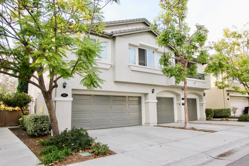 Trees and garages in the Willow Bend Community in Chula Vista, CA.