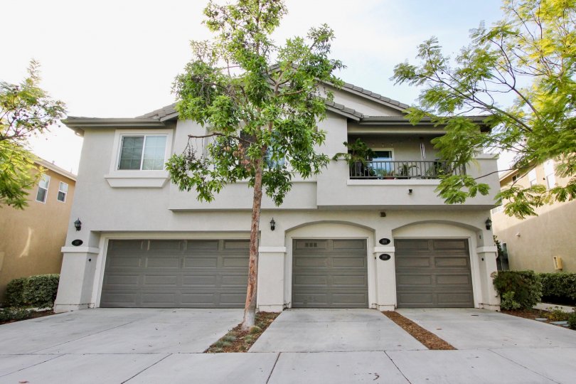 Building have three parking garaga in front side in Willow Bend