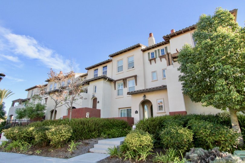 Beautiful apartments of Winding Walk with a mature landscape