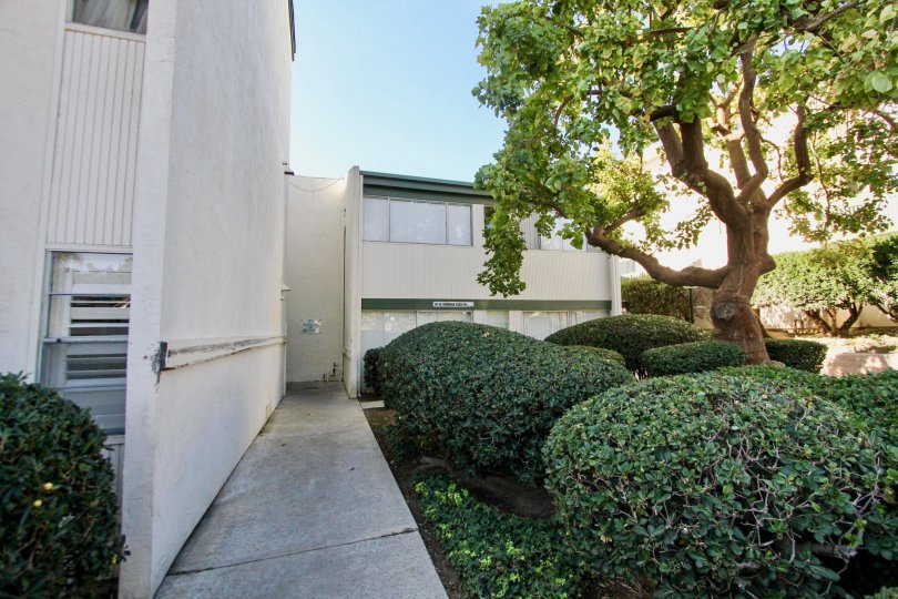 Bay Ho , Clairemont Mesa ,California,white buildin, clear sky