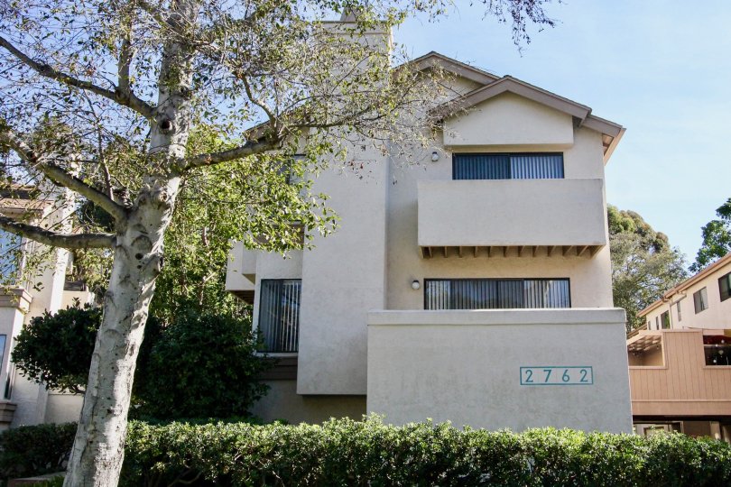 Canyon Rim , Clairemont Mesa , California,white building,tree, bushes
