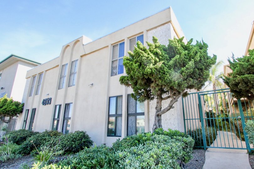 Cole Manor South  : Clairemont Mesa , California, off white building, tree